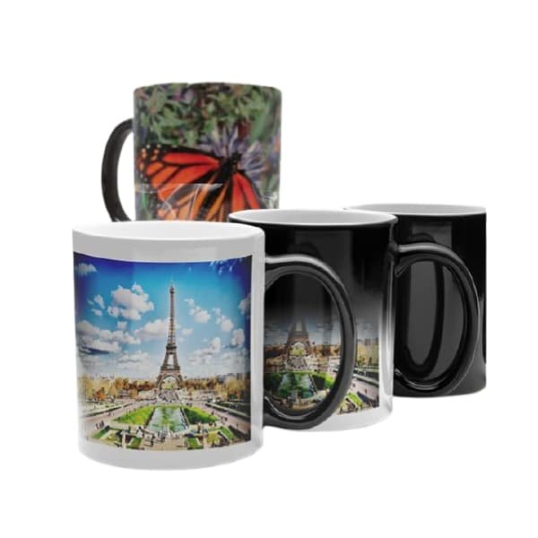 Magic Cup